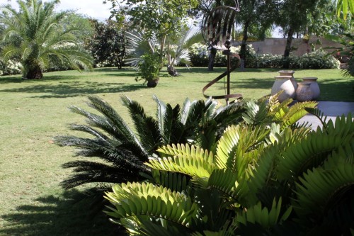 haiti_jardin_residentiel_11