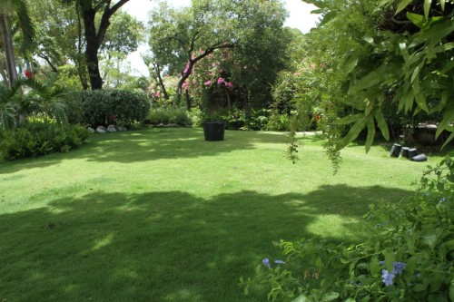 haiti_jardin_residentiel_20